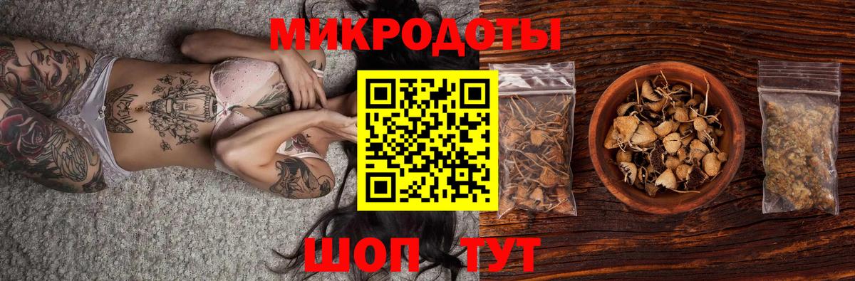 Галлюциногенные грибы Psilocybine cubensis Пермь